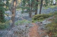 Lava Trail at Brown Mountain
